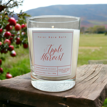 Apple Harvest
